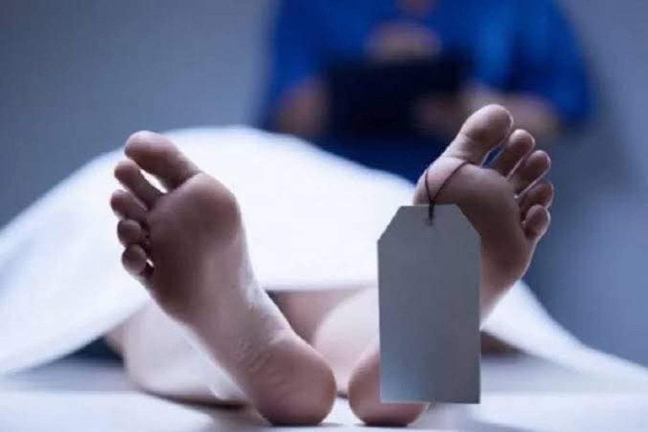 FB_IMG_1746235657605